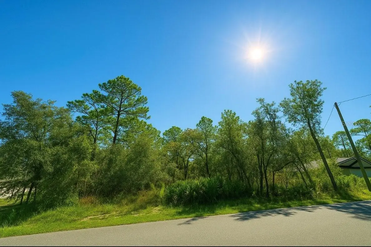 12036 Limpkin Rd, Weeki Wachee, FL 34614 - Image #1