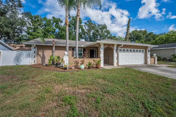 2661 Knoll Street E, PALM HARBOR, FL 34683