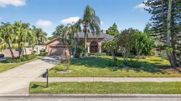 207 Hancock Court, SAFETY HARBOR, FL 34695