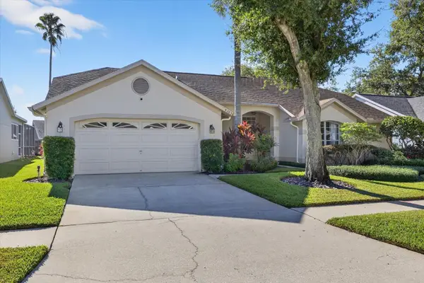 9203 Sunflower Drive, TAMPA, FL 33647