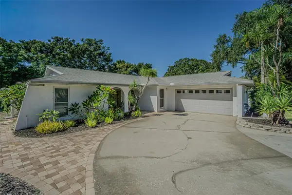 565 Sandy Hook Road, PALM HARBOR, FL 34683