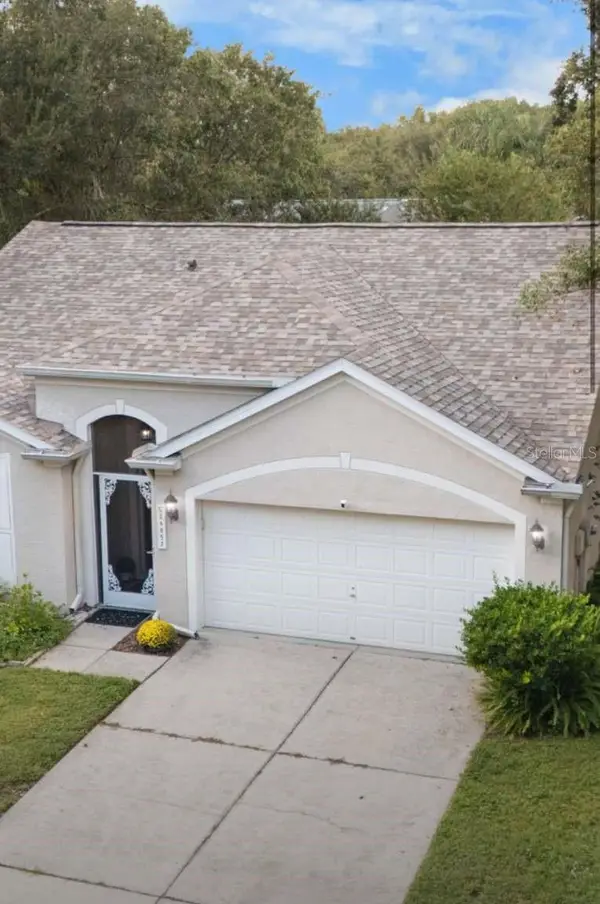 26857 Carmen Place, LUTZ, FL 33559