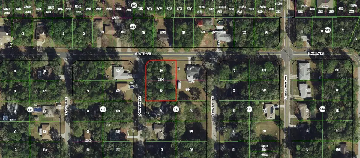 3337 S Dayton Terrace, Inverness, FL 34452 - Image #1