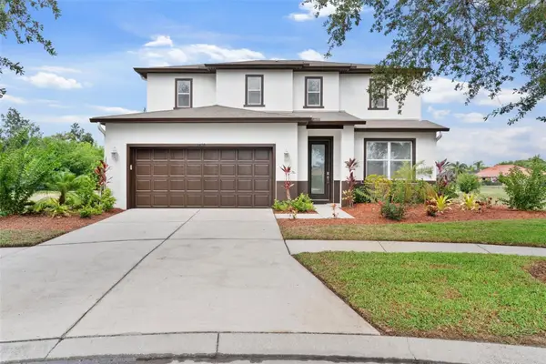 5424 Hammock View Lane, APOLLO BEACH, FL 33572