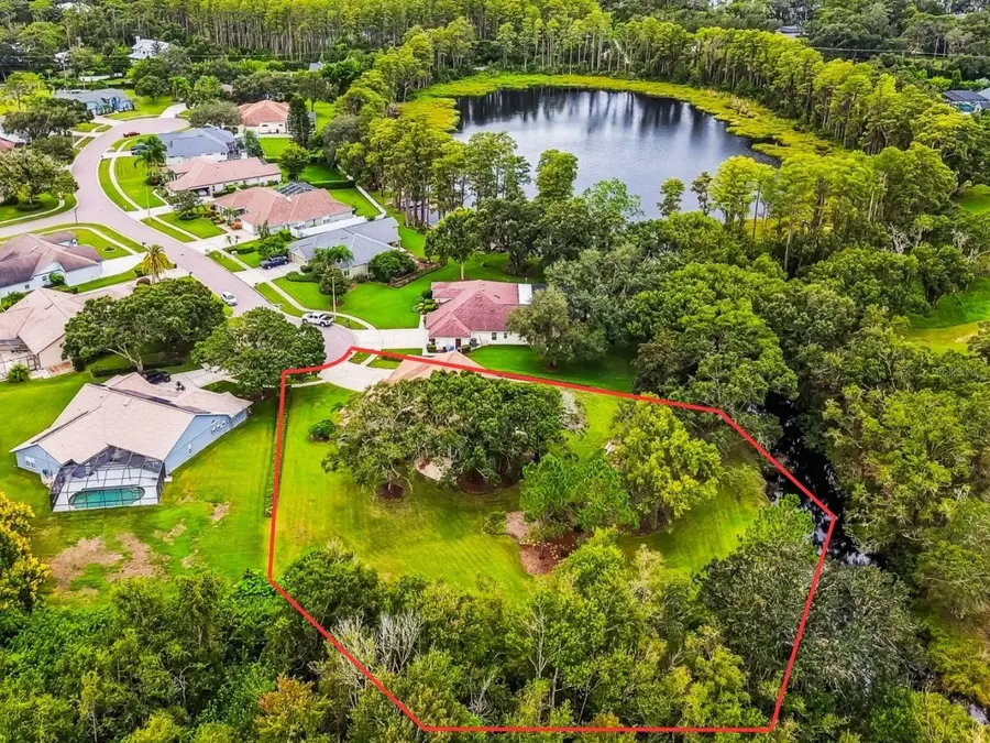 16916 Filly Lane, Odessa, FL 33556 - Image #2