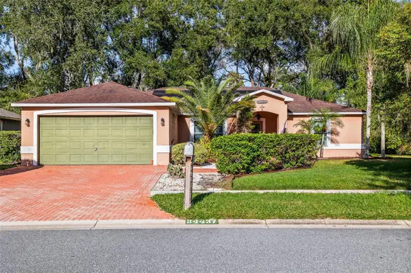 24437 Painter Drive, LAND O LAKES, FL 34639