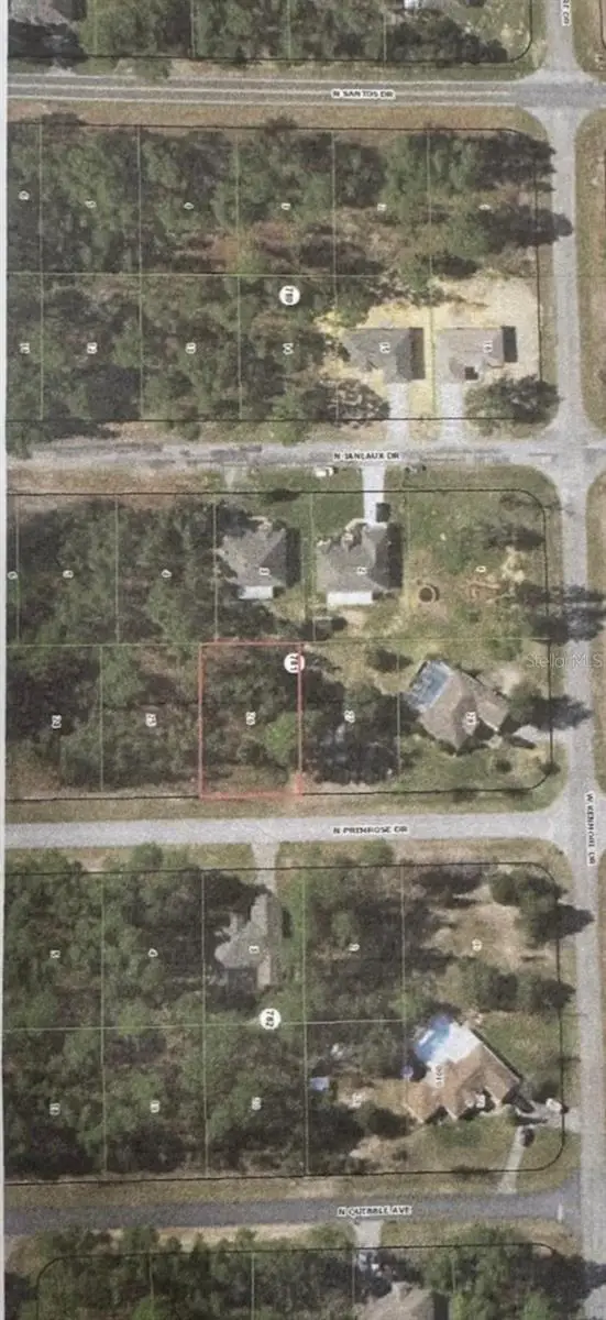 7800 N Primrose Drive, Citrus Springs, FL 34434 - Image #3