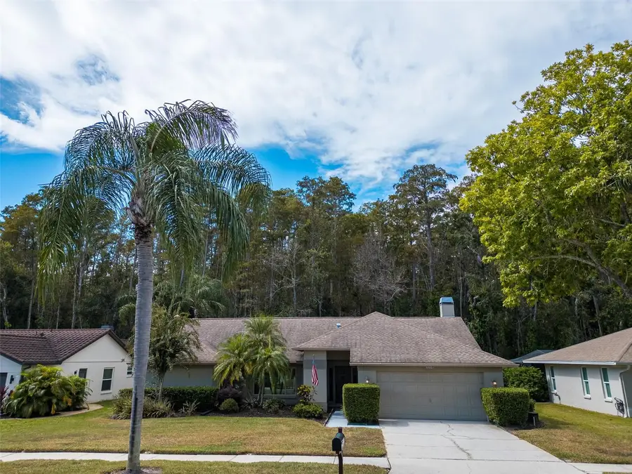 3238 Glenridge Drive, Palm Harbor, FL 34685 - Image #2