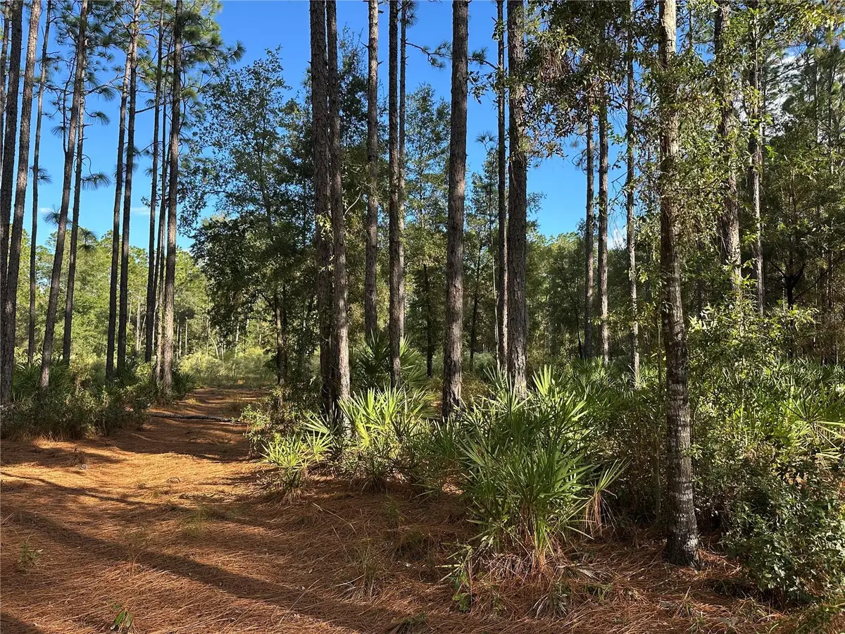 Address Withheld By Seller, Beverly Hills, FL 34471 - #1