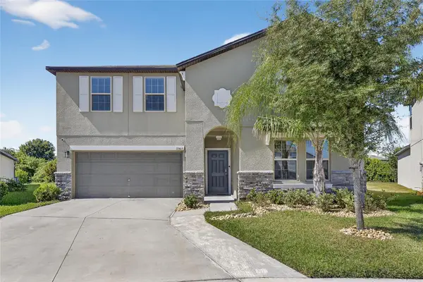 13503 Wild Ginger Street, RIVERVIEW, FL 33579