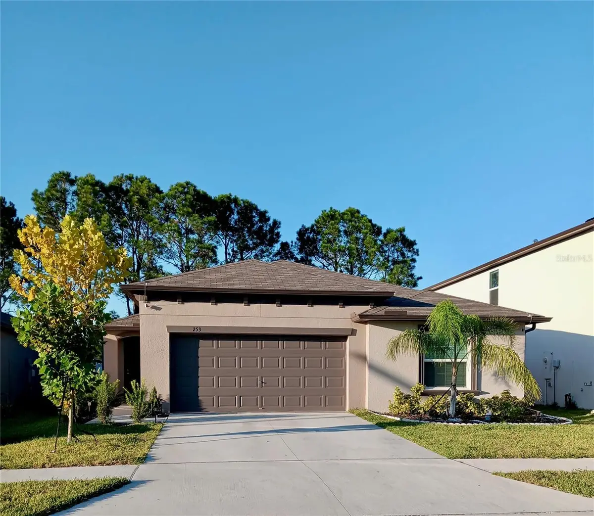 253 Rain Lily Avenue, Spring Hill, FL 34609 - Image #1