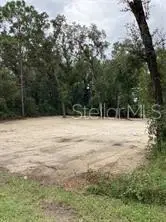 Smallman Street, WEBSTER, FL 33597