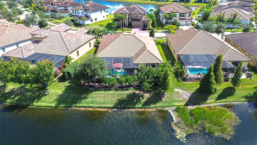 11906 Climbing Fern Avenue, Riverview, FL 33579 - Image #3