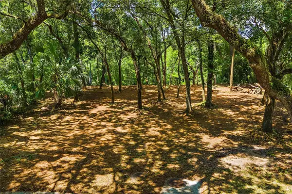 11731 Gail Drive, TEMPLE TERRACE, FL 33617