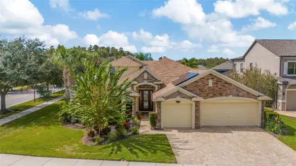 19361 Yellow Clover Drive, TAMPA, FL 33647