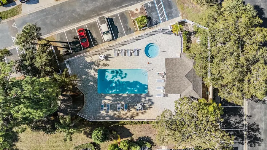 3494 Primrose Way, Palm Harbor, FL 34683 - Image #3