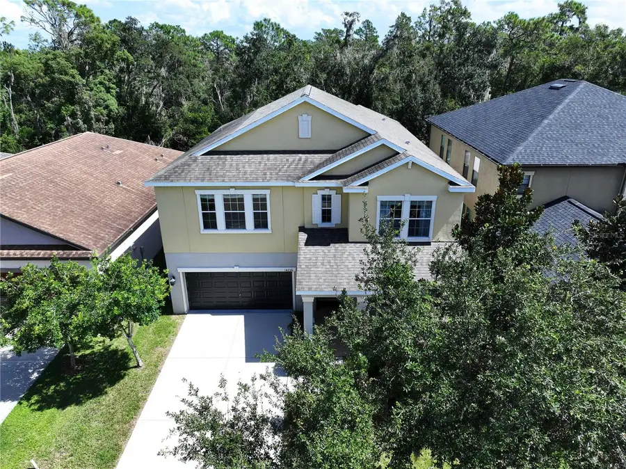 14256 Blue Dasher Drive, Riverview, FL 33569 - Image #3