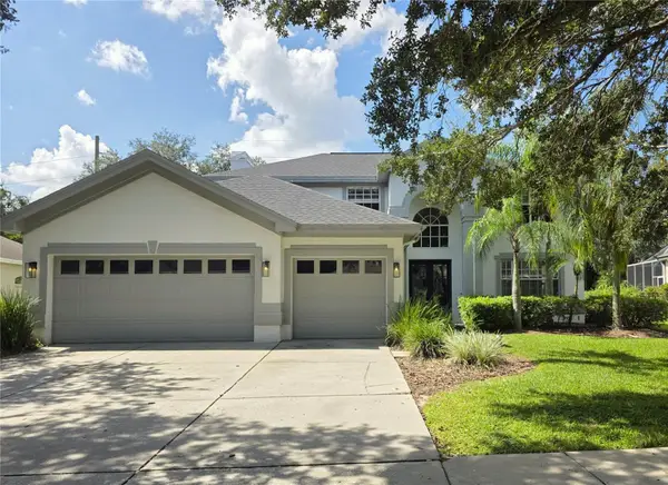 5318 Twin Creeks Drive, VALRICO, FL 33596