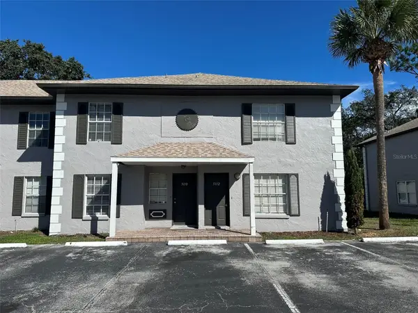 5112 Sunridge Palms Drive, TAMPA, FL 33617