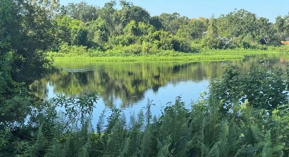 721 Redondo Drive, Brandon, FL 33511 - Image #1