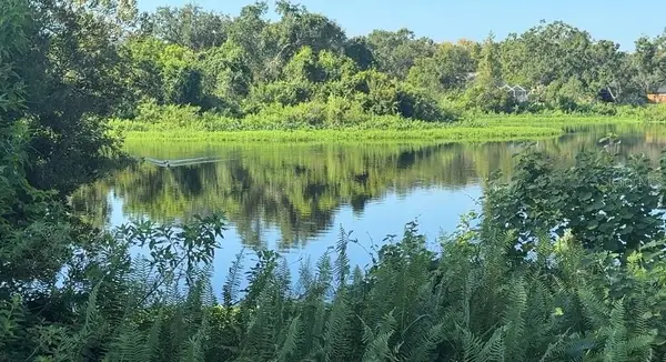 721 Redondo Drive, BRANDON, FL 33511