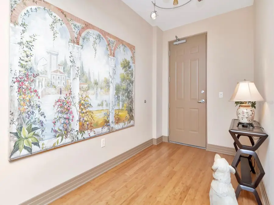 1108 N Franklin Street #605, Tampa, FL 33602 - Image #3