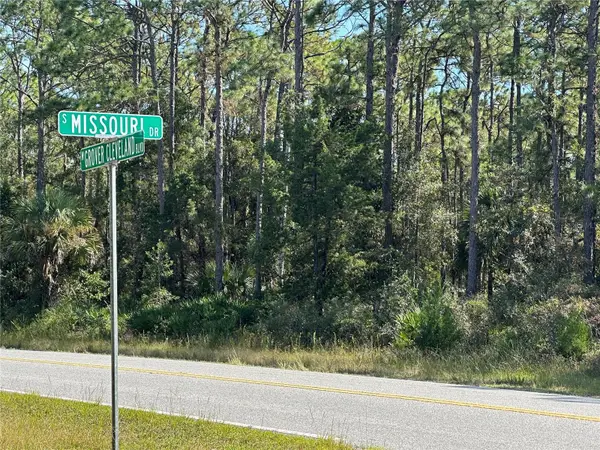 4025 S Missouri Drive, HOMOSASSA, FL 34448