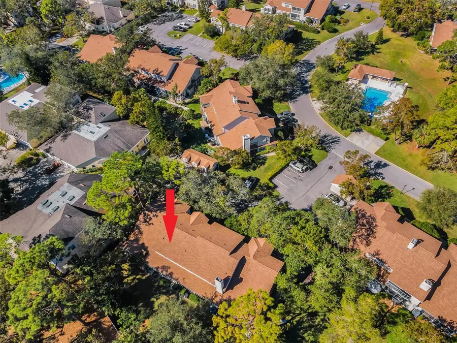 2182 Clover Hill Road, Palm Harbor, FL 34683 - Image #3