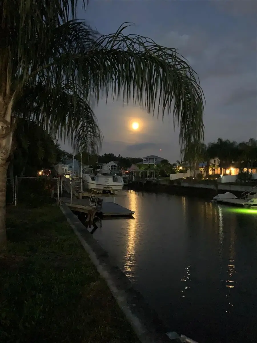 7436 Yachtsman Drive, Hudson, FL 34667 - Image #3