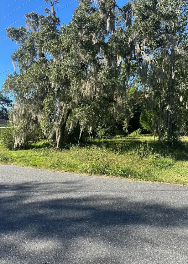 Lot 8 NE 1st Street, WILLISTON, FL 32696