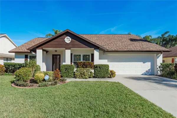 14931 Redcliff Drive, TAMPA, FL 33625