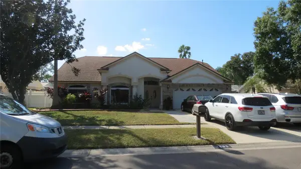 3805 Scovill Lane, VALRICO, FL 33596