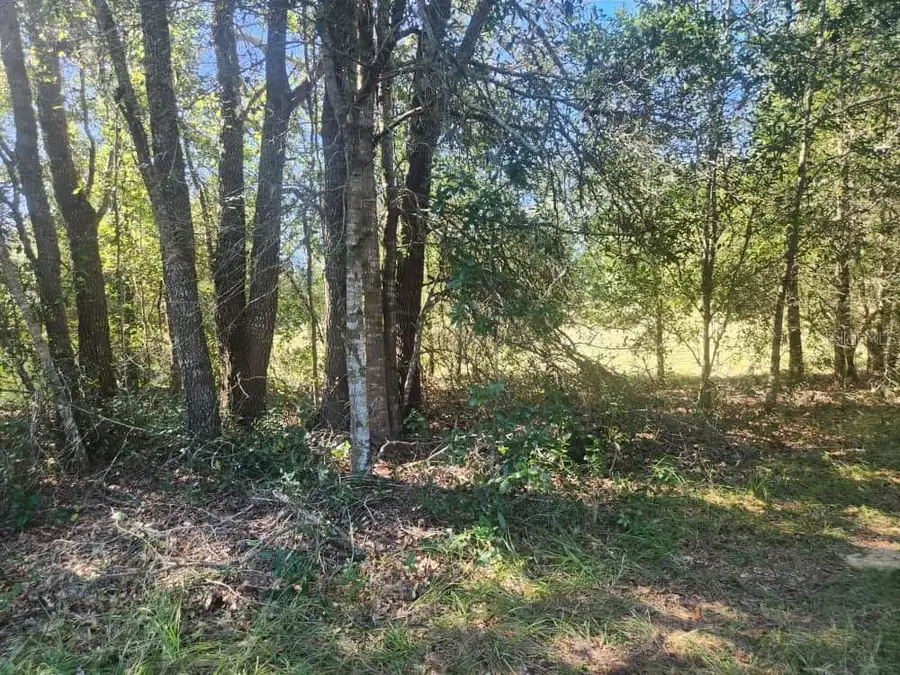 2309 Garfield Street, Inverness, FL 34453 - Image #2