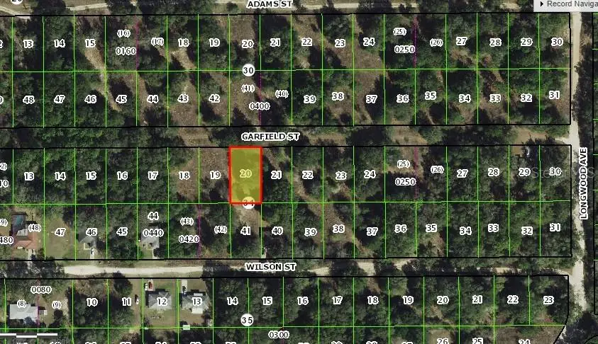 2309 Garfield Street, Inverness, FL 34453 - Image #3