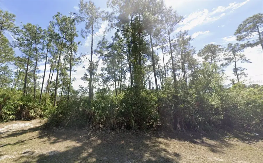 2904 E 9th Street, Lehigh Acres, FL 33972 - #2