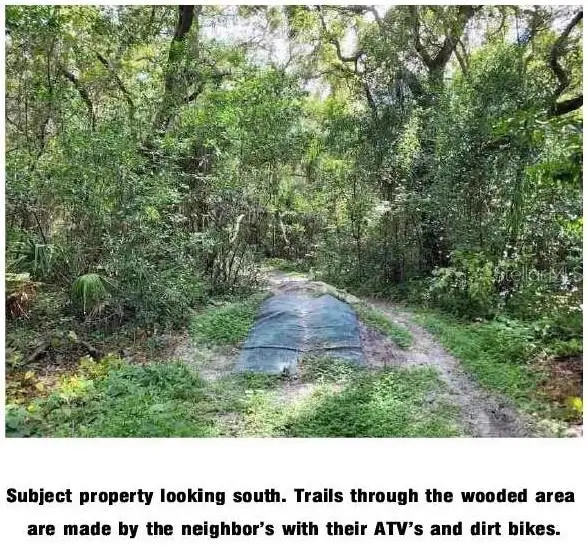 Lantana Avenue, Clearwater, FL 33755 - Image #3