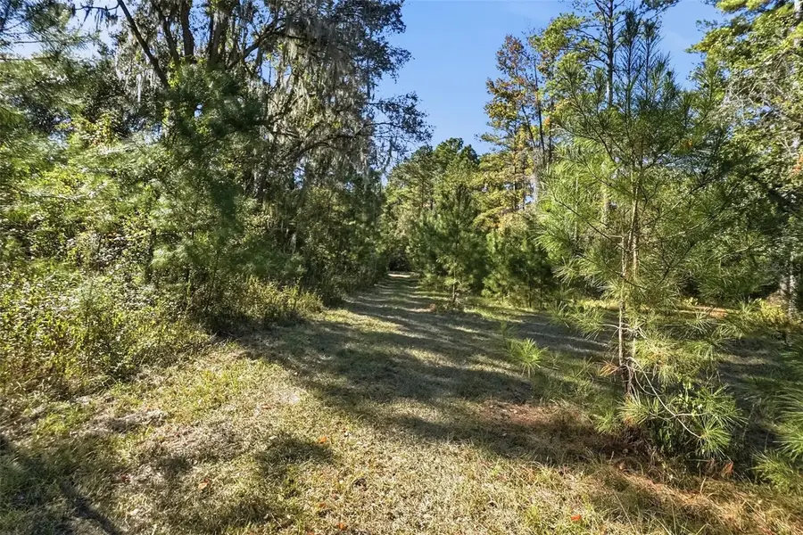 Sw Paradise Way Sw, Greenville, FL 32331 - Image #3