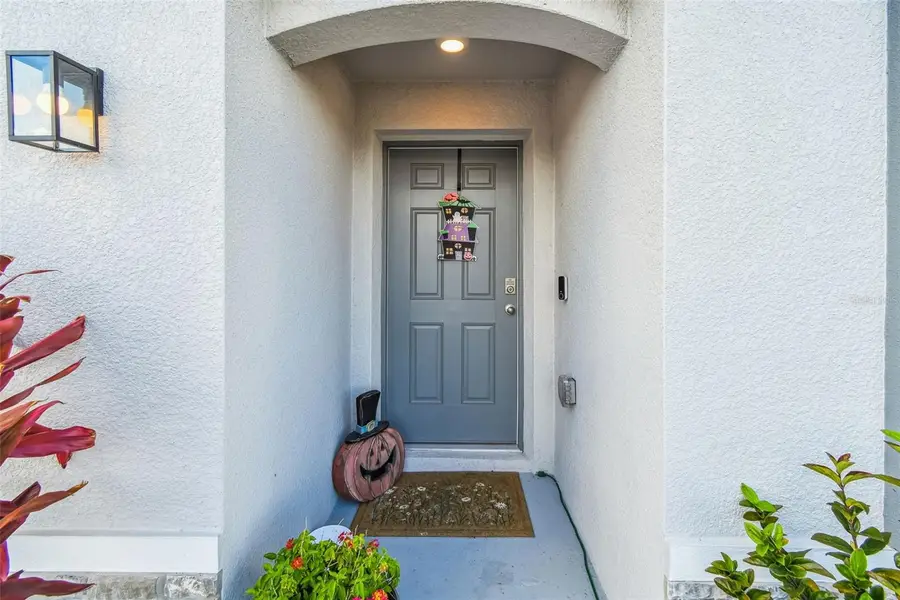 3139 Silver Date Drive, Wimauma, FL 33598 - Image #2