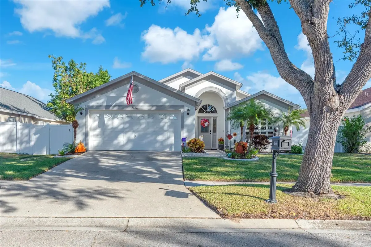 2616 Vinedale Avenue, Valrico, FL 33596 - Image #1