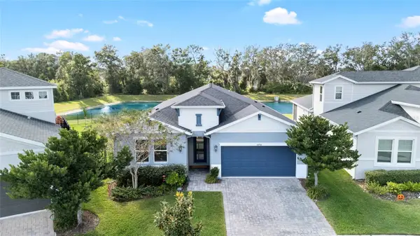 10736 Whitland Grove Drive, RIVERVIEW, FL 33578