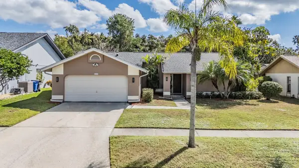 8628 Chadwick Drive, TAMPA, FL 33635