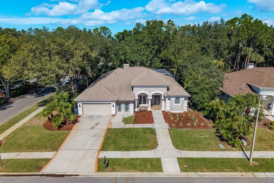 5264 Karlsburg Place, Palm Harbor, FL 34685 - Image #3