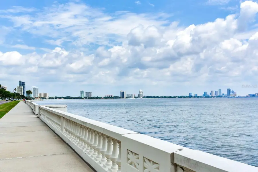 2403 W Chicago Avenue, Tampa, FL 33629 - Image #2