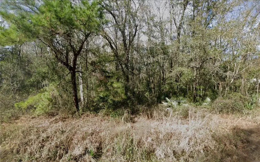 4572 Division Street, Hastings, FL 32145 - Image #2