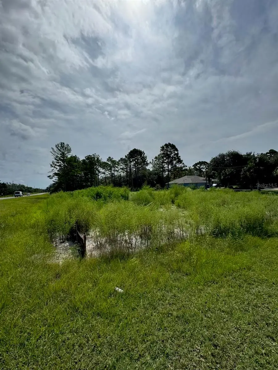 13142 Mottled Duck Rd Road, Weeki Wachee, FL 34614 - Image #2