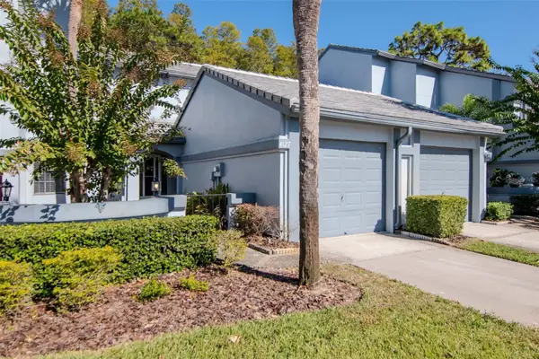 4127 Brentwood Park Circle, TAMPA, FL 33624