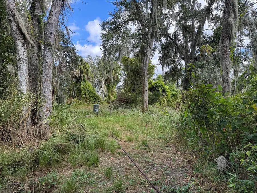 3721 Porter Road, Lithia, FL 33547 - Image #3