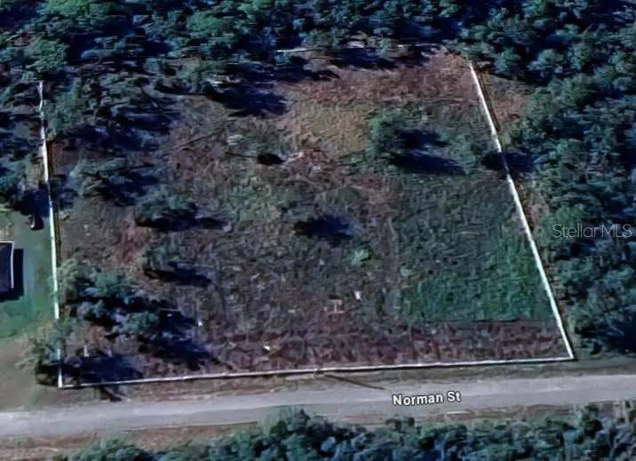 7285 Norman Street, Webster, FL 33597 - #3