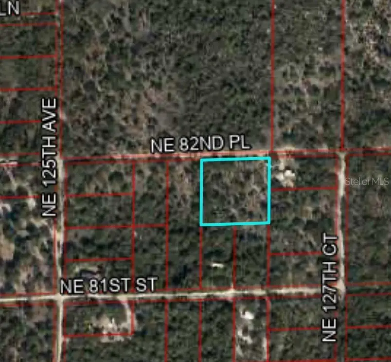 12790 Ne 82nd Pl, Bronson, FL 32621 - Image #1