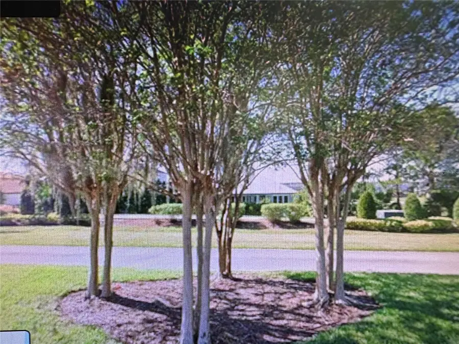 155 Blazing Star Avenue, Lake Alfred, FL 33850 - Image #3